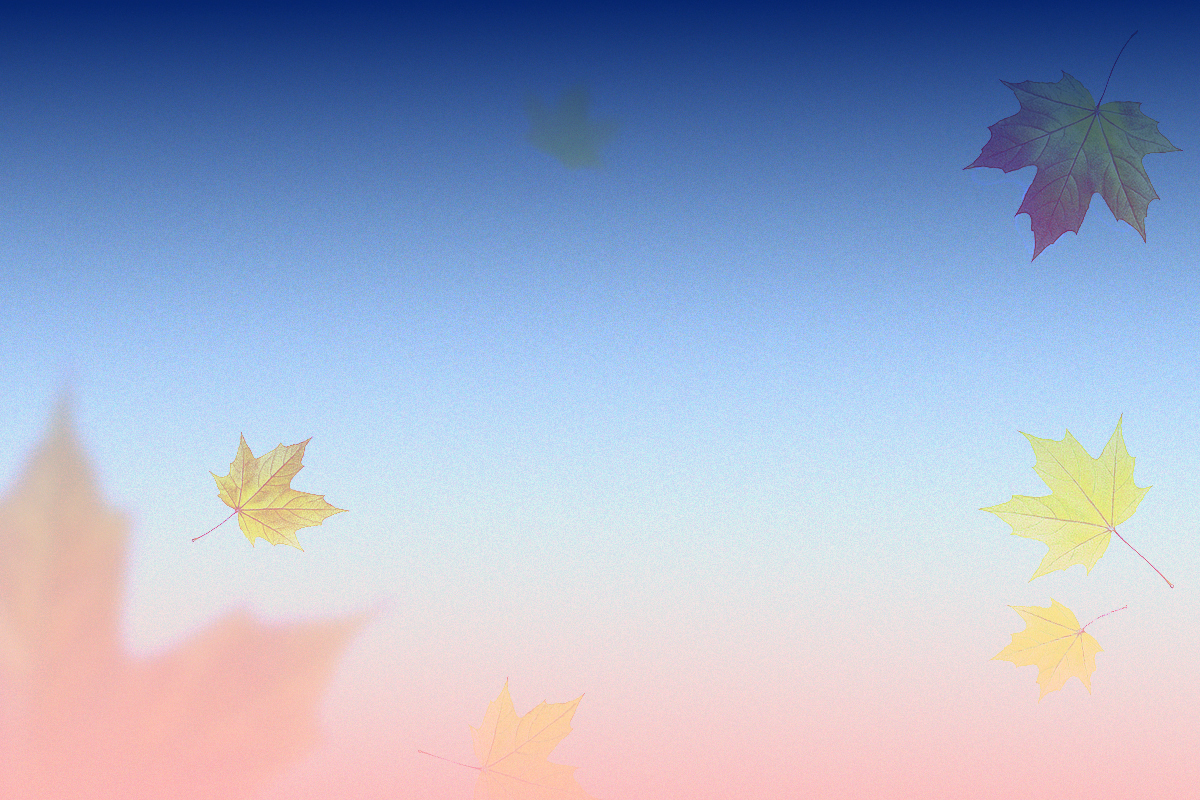 PC 1200_800