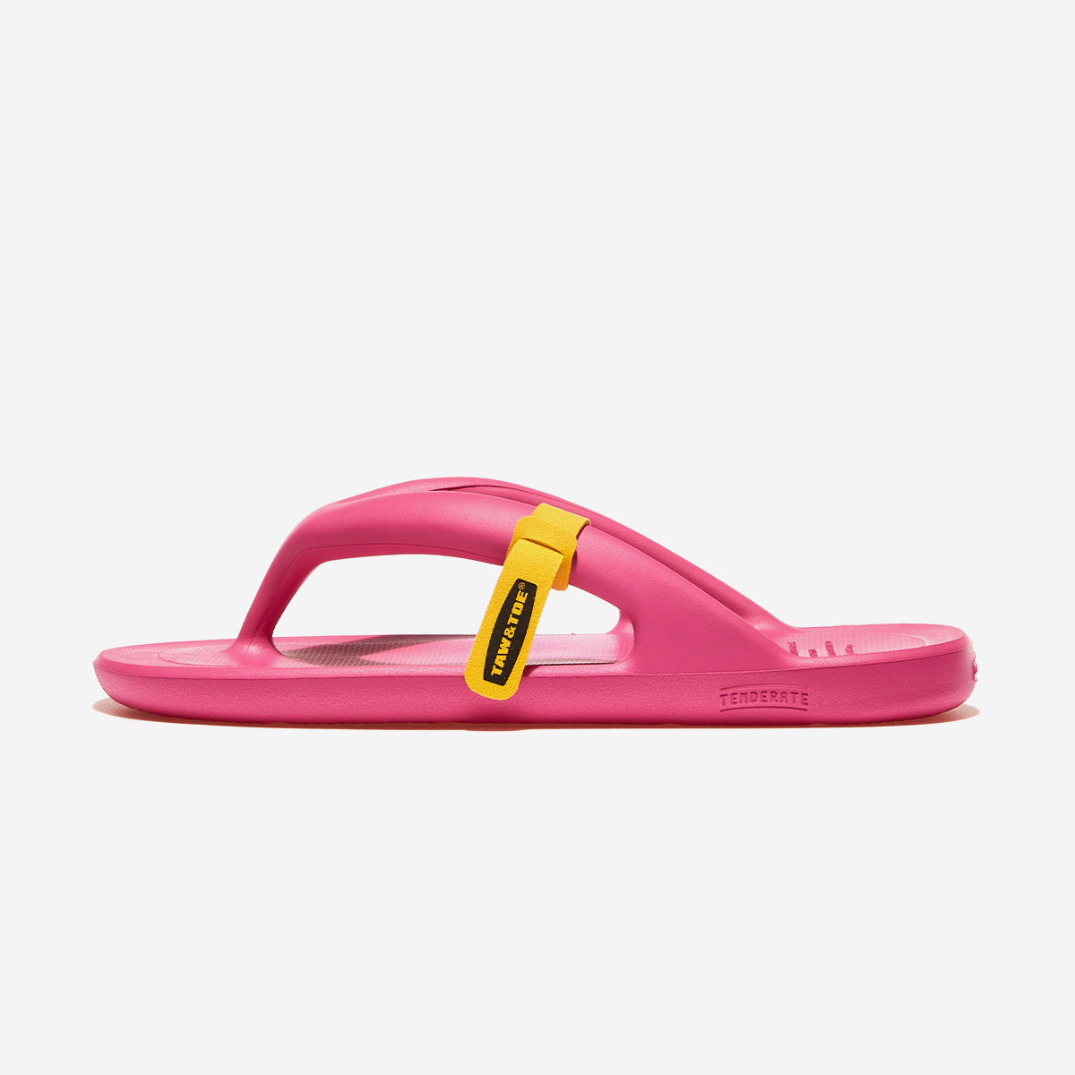 MAIN