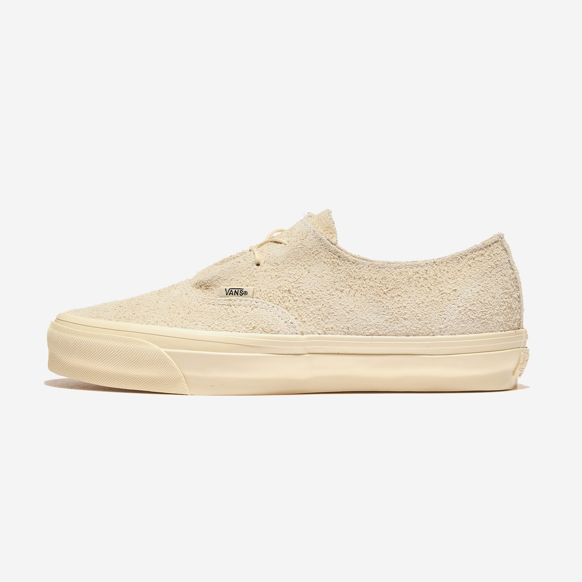 MAIN